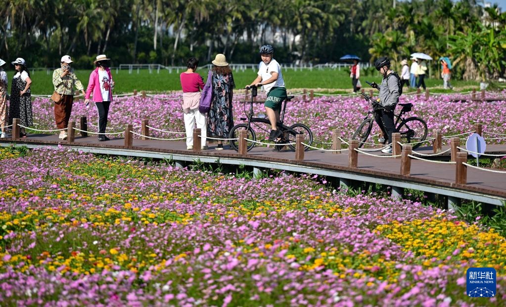博鳌花开迎客来
